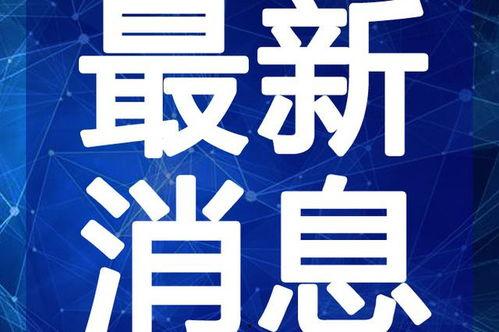 桃园日记最新爆料篇视频,揭秘幕后真相，精彩内容抢先看！